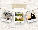 polaroid.webp